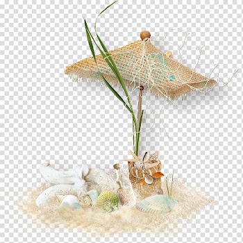 Frames Beach Film frame , beach transparent background PNG clipart
