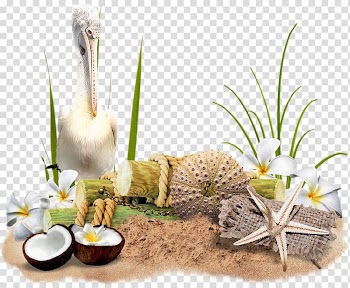 Frames Beach graph Film frame, beach transparent background PNG clipart