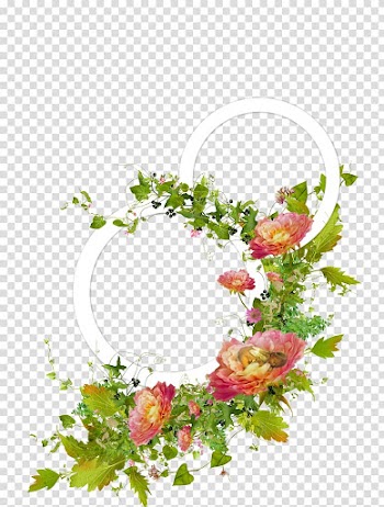 Frames , beautiful flower cluster transparent background PNG clipart