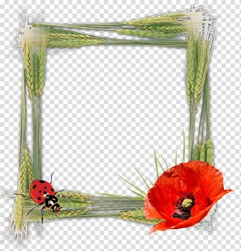 Frames Birthday Tableau, gold floral transparent background PNG clipart
