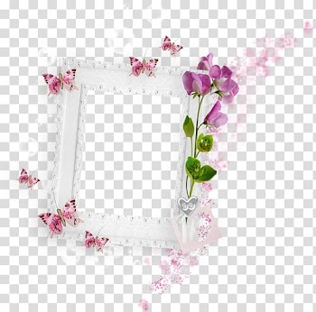 Frames Butterfly , butterfly transparent background PNG clipart