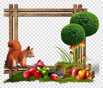 Frames , champignon transparent background PNG clipart