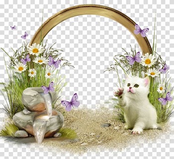 Frames , CUTE FRAMES transparent background PNG clipart