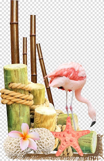 Frames , exotic transparent background PNG clipart