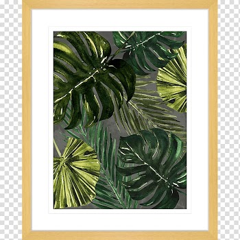 Frames Film frame Desktop , Monstera frame transparent background PNG clipart