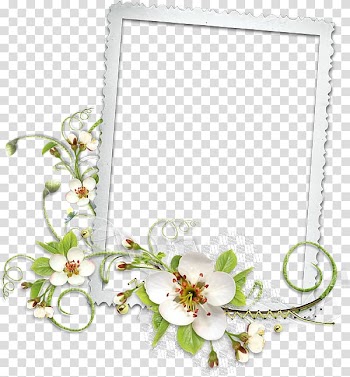 Frames Film frame Rendering, floatie transparent background PNG clipart