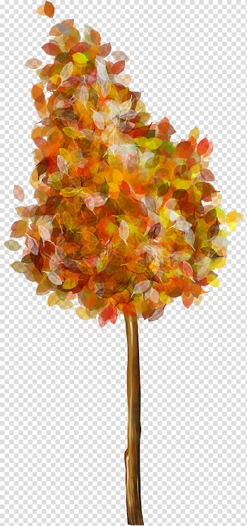 Frames, fir-tree transparent background PNG clipart