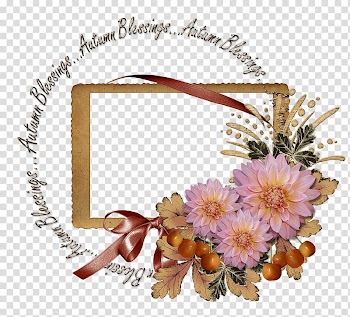 Frames Floral design Film frame, namaskar transparent background PNG clipart