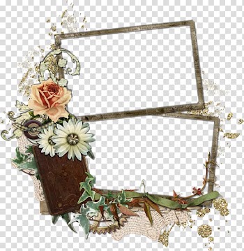 Frames Floral design Film frame, others transparent background PNG clipart