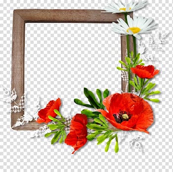 Frames Floral design Flower, flower transparent background PNG clipart