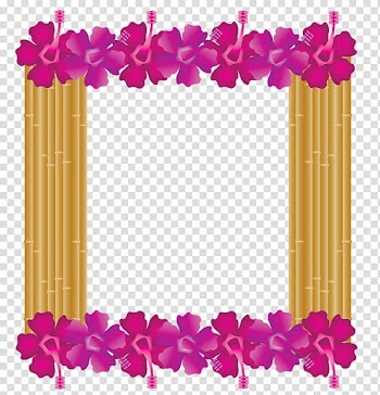 Frames Floral design Hawaii, tropical framed art transparent background PNG clipart