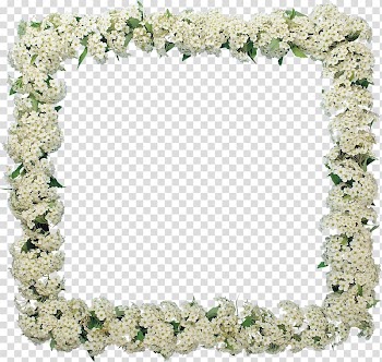 Frames Flower GIMP Garden roses, frangipani transparent background PNG clipart