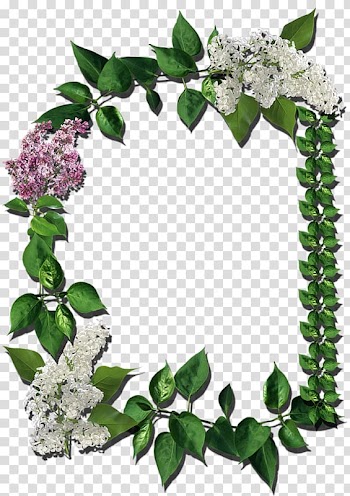 Frames, flower transparent background PNG clipart