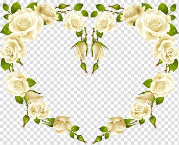 Frames Garden roses graphics, rose transparent background PNG clipart