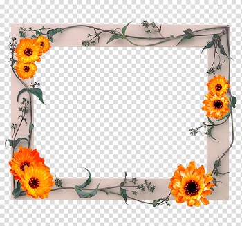 Frames Glass , glass transparent background PNG clipart