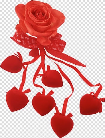 Frames Heart Garden roses, lovely transparent background PNG clipart