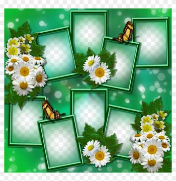 Frames In Green And Daisies By Venicet On Deviantart - Png Green Photo Frame