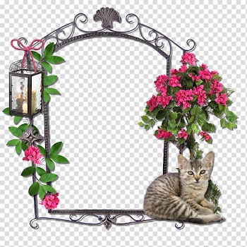 Frames , jerrycan transparent background PNG clipart