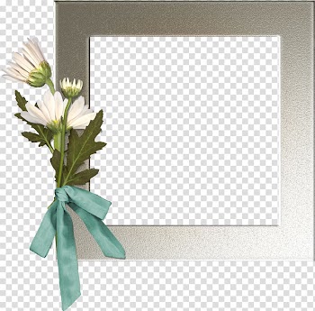 Frames LiveInternet .az, camomile transparent background PNG clipart