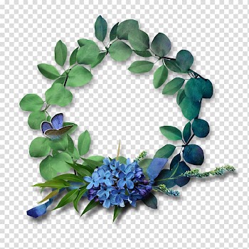 Frames , magnolia material transparent background PNG clipart