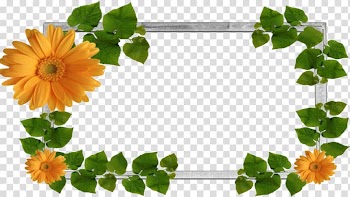 Frames , MOLDURA transparent background PNG clipart