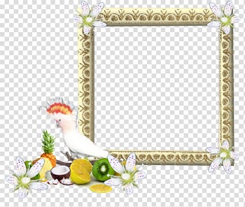 Frames, montage transparent background PNG clipart