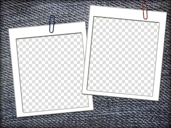 Frames Polaroid Corporation Houseplant Digital frame, polaroid transparent background PNG clipart