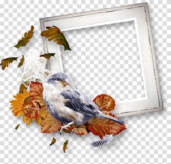 Frames Portable Network Graphics Birthday, autumn frame transparent background PNG clipart