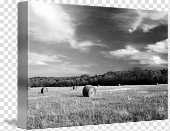 Frames Prairie, others transparent background PNG clipart
