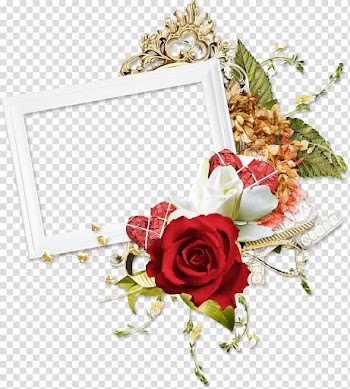 Frames Scrapbooking , white roses transparent background PNG clipart