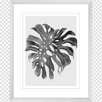 Frames Square Furniture, Monstera frame transparent background PNG clipart