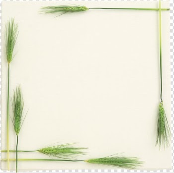 Frames , wheat transparent background PNG clipart