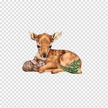 France Blog Party, Deer transparent background PNG clipart