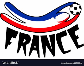 France futbol vector image