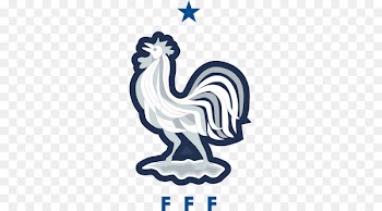 France national football team 2018 FIFA World Cup UEFA Euro 2016 2014 FIFA World Cup - Trance 