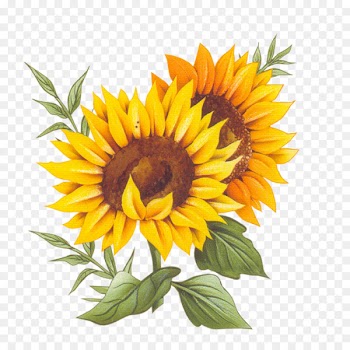 France Pixe8ce montxe9e Recipe Cuisine - Two vector sunflower painting 