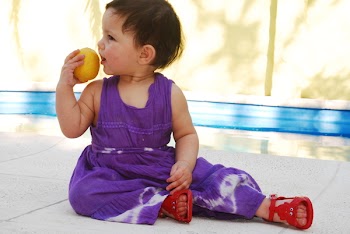 franfresca_limonada.JPG