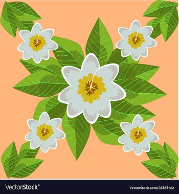 Frangipani flower seamless pattern vector image