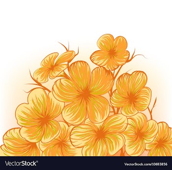Frangipani vector image