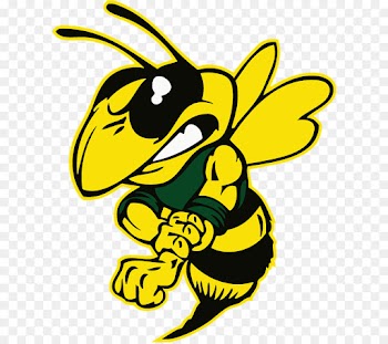 Franklin High School, Edison High School, Stockton Unified School District, Honeybee, Yellow PNG