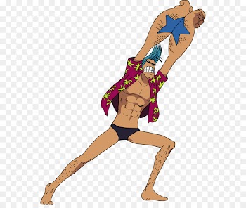 Franky Nami Monkey D. Luffy Usopp Bentham - one piece 