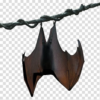 Franquet's epauletted fruit bat Buettikofer's epauletted fruit bat Megabat, bat transparent background PNG clipart