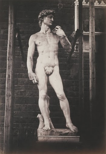 Fratelli Alinari's Michelangelo's sculpture of David. | Free Photo - rawpixel