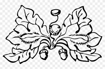 Free Acrons And Leaves Free Acorn - White Oak Leaf Vector