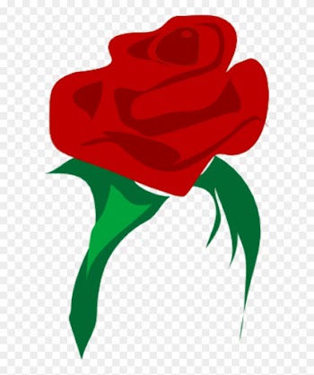 Free Architetto Rosa 2 - Red Flower Vector Png