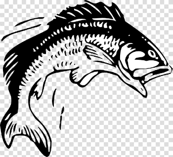 Free Bass Fish Cliparts, Download Free Clip Art, Free Clip Art on ...