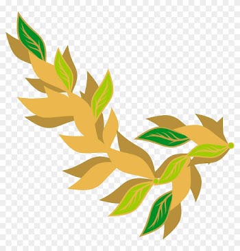 Free Bay Leaf - Bay Leaf