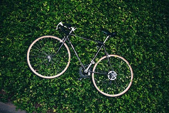 Free bicycle in a bush | Free Photo - rawpixel