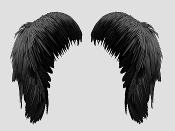 Free Black Wings PNG (Isolated-Objects) | Textures for Photoshop