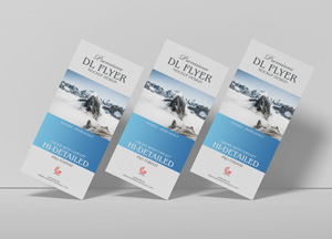 Free Brand Premium Dl Flyer Mockup Design For Presentation dl flyer dl flyer dl flyer hi detailed hi detailed hi-detailed 